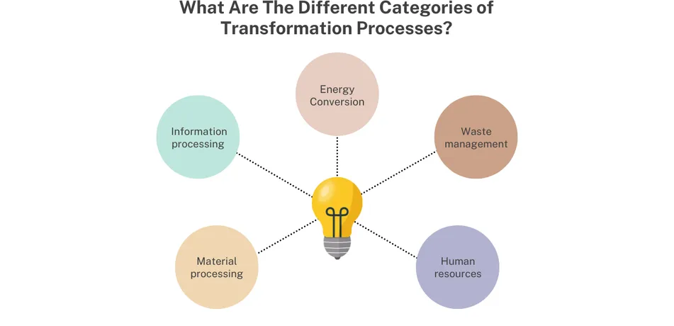 management transformation process